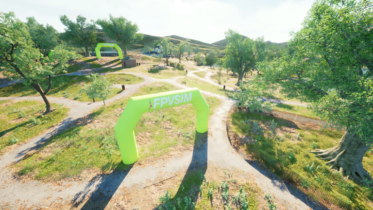 City Park in the FPVSIM desktop simulator