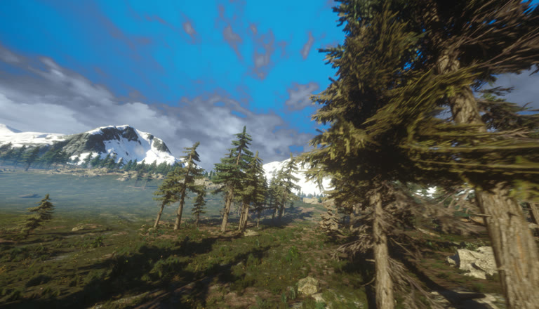 Forest in the FPVSIM desktop simulator